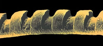 Photo shows laser accuracy - Magnified view of a human hair sculpted by an excimer laser