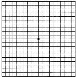 Amsler Grid to detect macular degeneration at Master Eye Associates, Austin, Round Rock, Cedar Park, Bee Cave/Lakeway